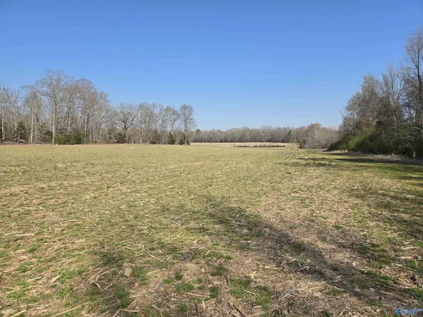 Fowler Dr, Hazel Green, AL 35750