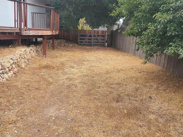 201 Weible Dr — Photo 11