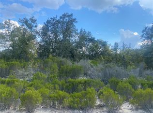 NE 87th Pl, Bronson, FL 32621