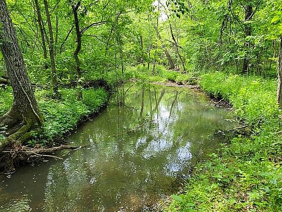 Creek RunThrough 5 Acres