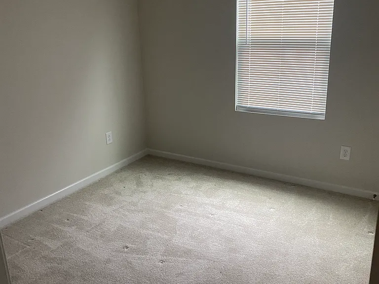 149 Thicket Dr — Photo 11