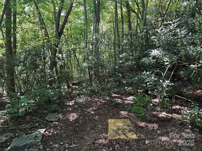 0 Lyle Downs Rd, Franklin, NC, 28734