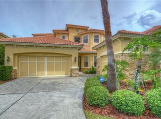 11639 Bristol Chase Dr, Tampa, FL 33626