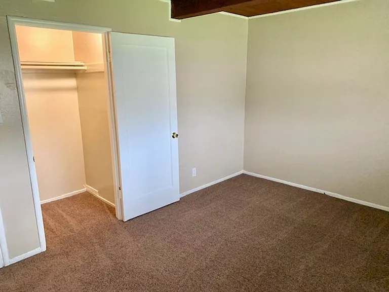 4409 Jenkins Way — Photo 8