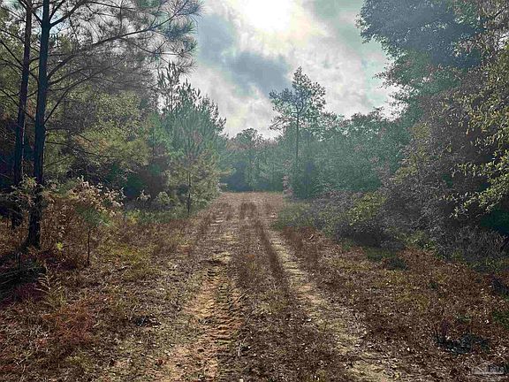 4th image of 0 Ryan Rd