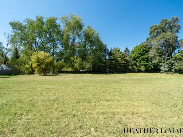 Ethelwin Ave NE, Belmont, MI 49306