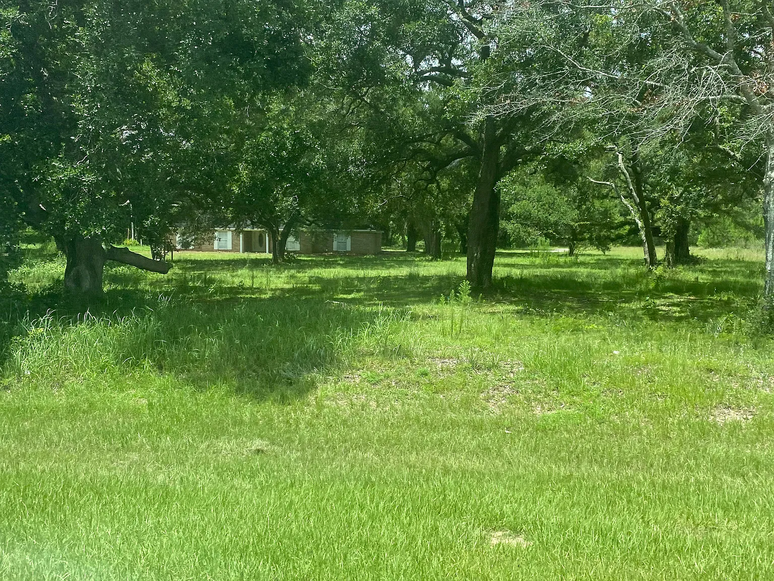 4 bed, 3000 sqft, $2,650 — Photo 2