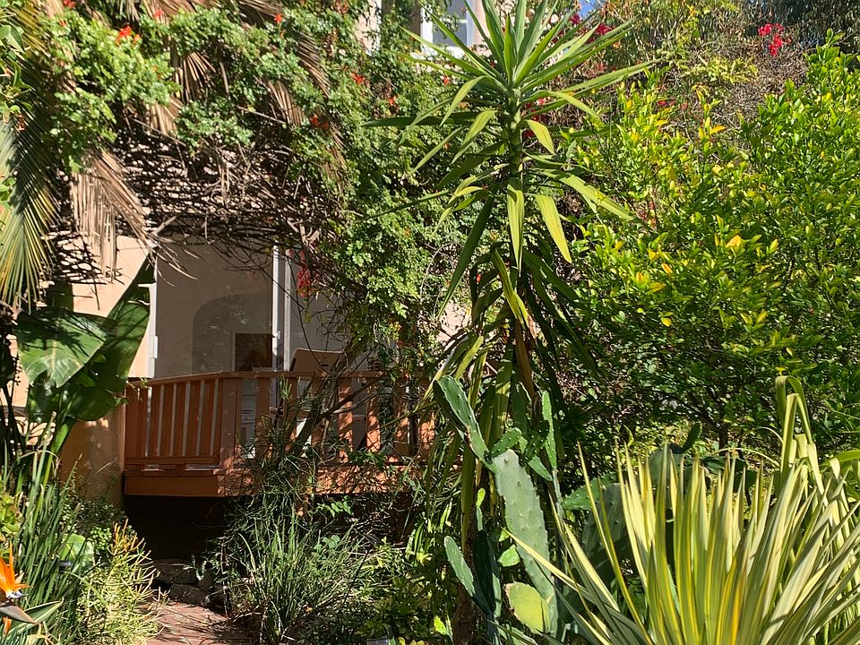 Entry walk through lush garden