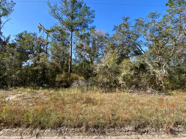 LOT 43 NW 79th Dr, Jasper, FL 32052