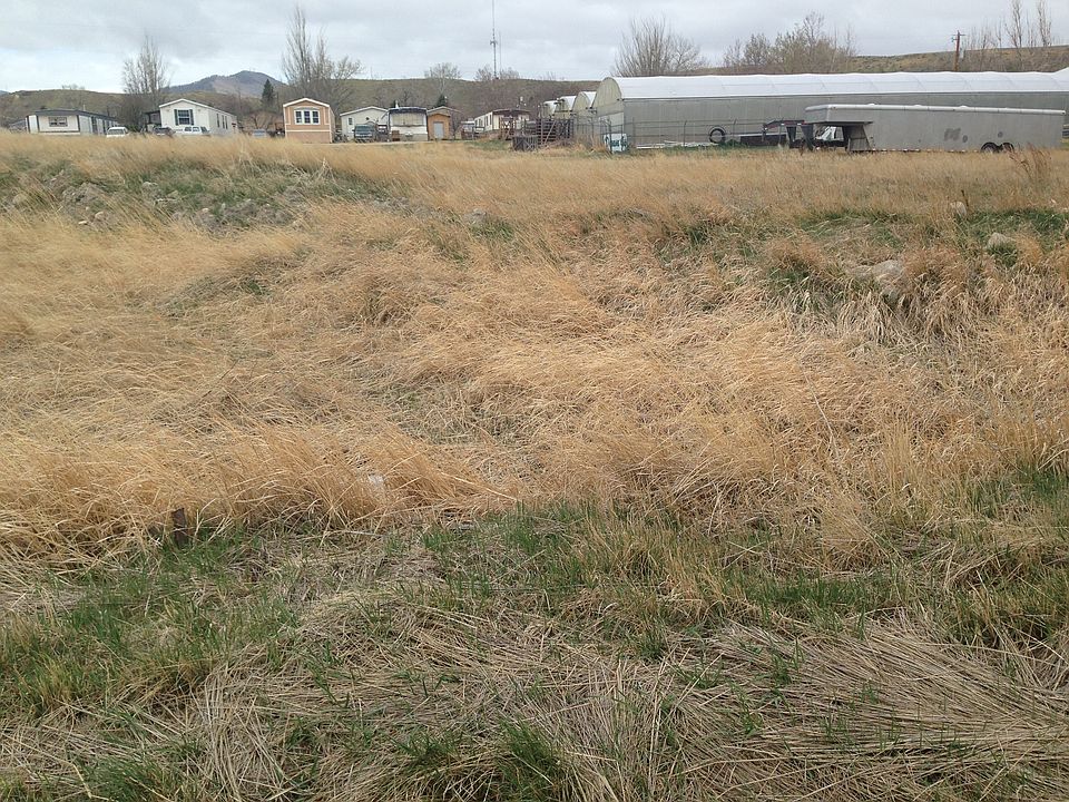 2nd image of S Juniper
