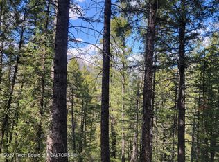 L34-B3 Cutthroat Run, Irwin, ID 83428