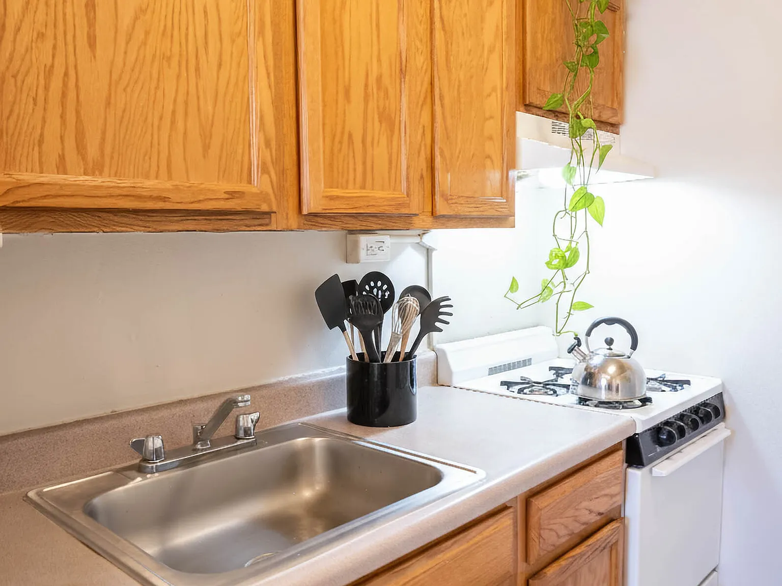 Castle Hill Apartments — Photo 4