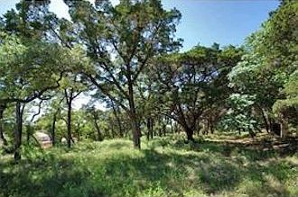 5th image of 304 Camino Arbolago