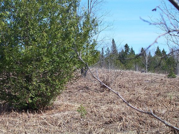 4th image of Trout Lane Parcel #8