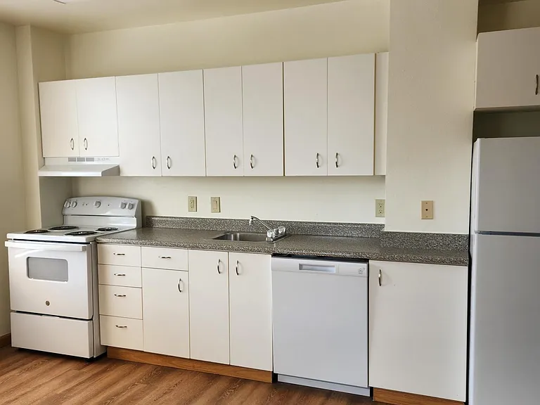 A typical kitchen, with full-size appliances, some with a dishwasher, and generous cabinet space.