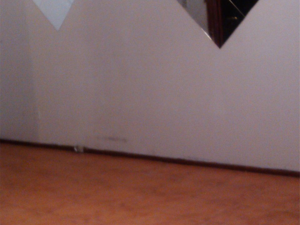 2nd image of 1325 Saint Lawrence Ave