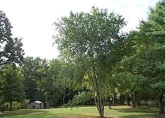 4th image of 508 Jefferson Hwy