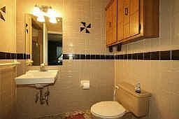 master bath with roll in shower