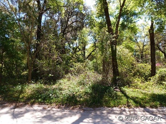 1st image of 133 Little Orange Lake Dr