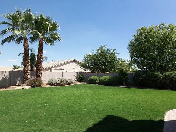 Lush Grassy Back Yard