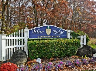 31 Birchwood Rd, Medford, NY 11763