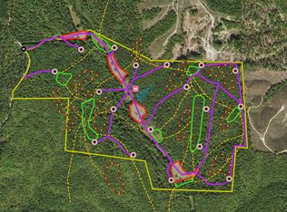 2402 Sally Baker Rd, Sugar Tree, TN 38380