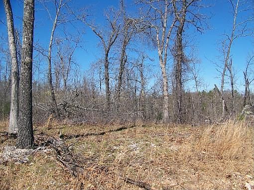 5th image of 1445 Crestwood Ter