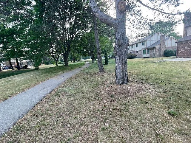 720 Shelley Dr — Photo 33