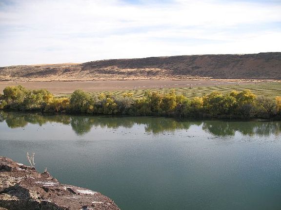 5th image of 22 Oregon Trl