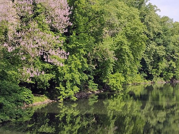 Two blocks from Brandywine River