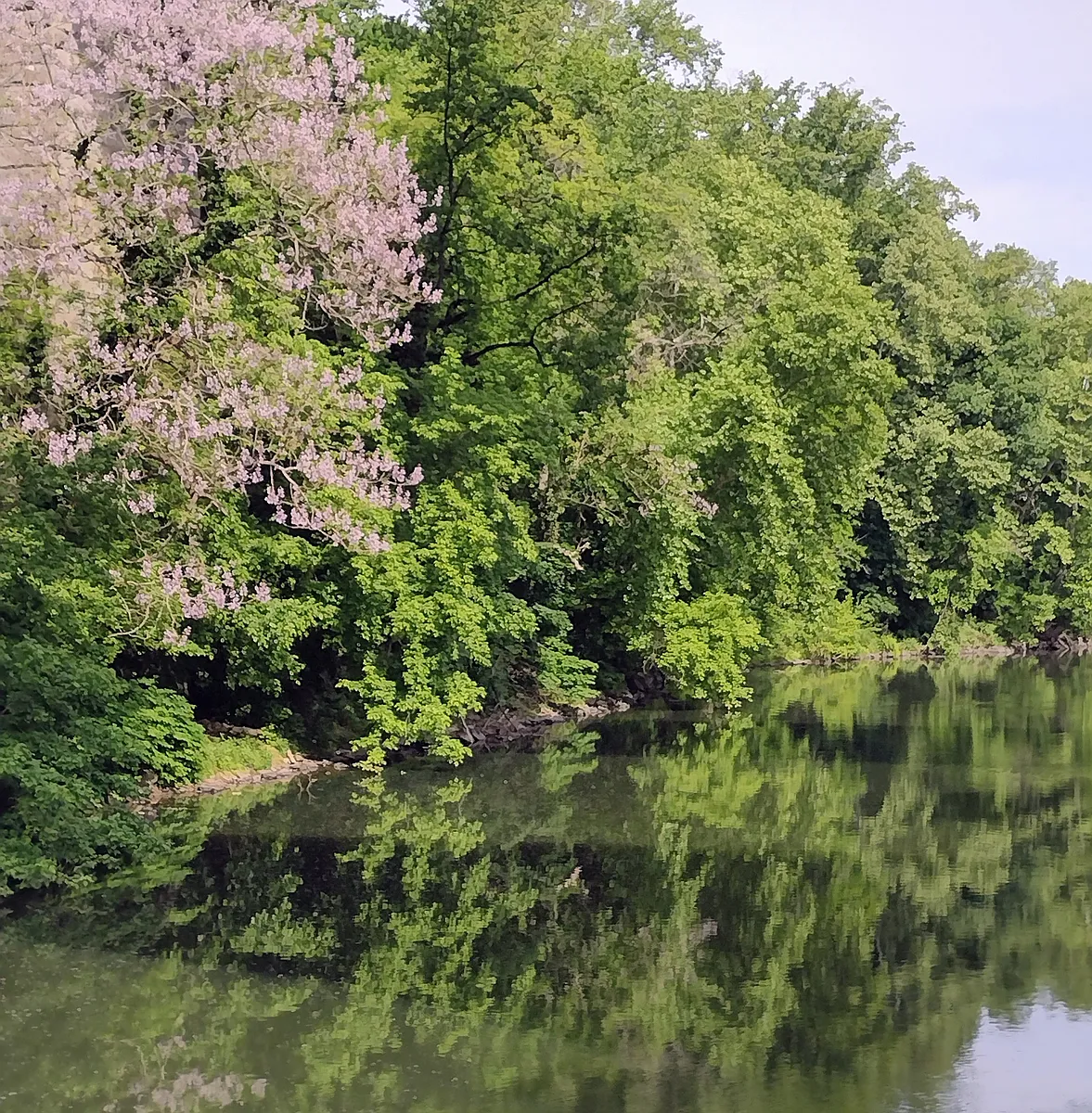 Two blocks from Brandywine River - 1307 N Clayton St #3