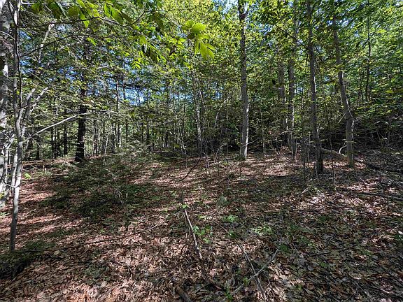 4th image of Map 41 Lot 25 Jewett Road