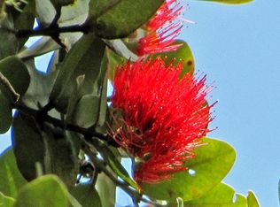 Hibiscus St LOT 7299, Mountain View, HI 96771