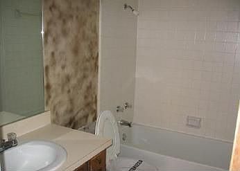 2nd image of 5209 Wild West Dr