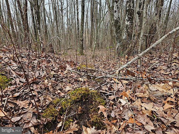 3rd image of Bradford Johnson Rd