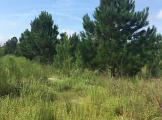 2169 Copper Kettle Ln, Manning, SC 29102