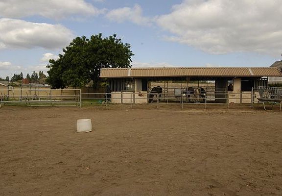 Arena Towards Barn