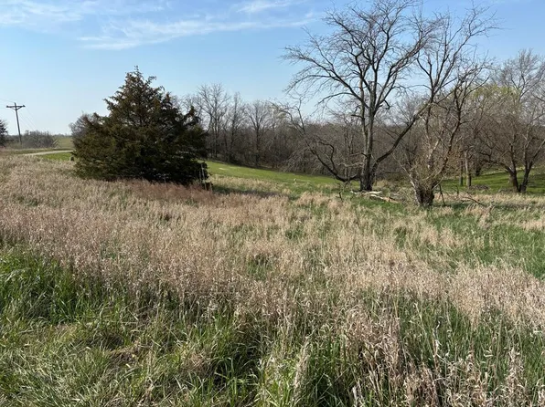 20204 Prairie Willow Ct, Unionville, MO 63565