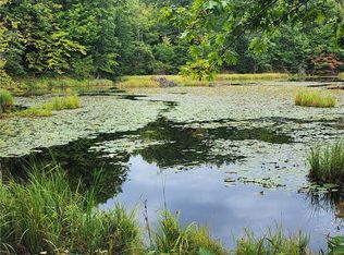 0 Old Highway D, Holcombe, WI 54745