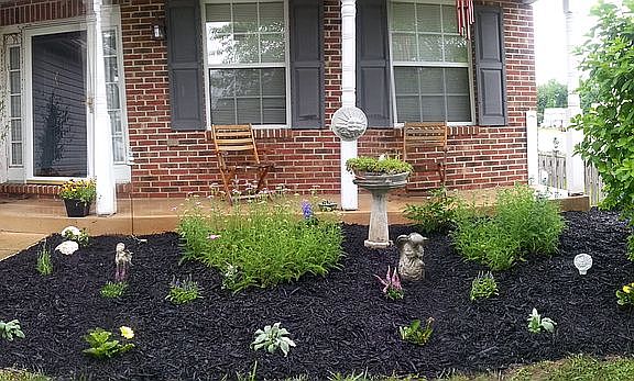 Front Garden