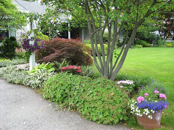 Beautiful trees and shrubs