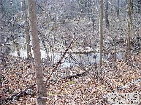 5th image of 2910 Peach Creek Ln