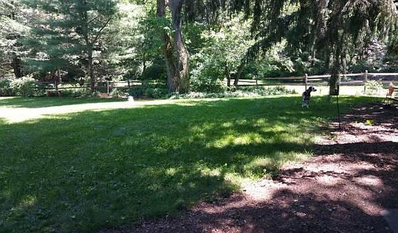 View from the patio.