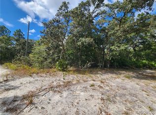 7399 W Edwardian St, Dunnellon, FL 34433