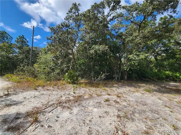 7399 W Edwardian St, Dunnellon, FL 34433