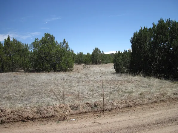 110 Jesse James Rd, Edgewood, NM 87015