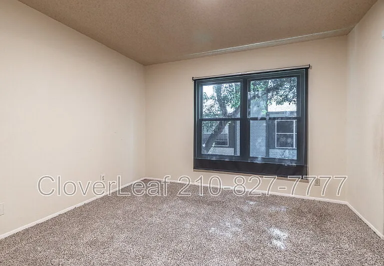 1933 Crossgate Park — Photo 13