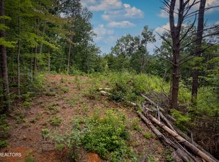 2 Verless Ogle Rd, Sevierville, TN 37876