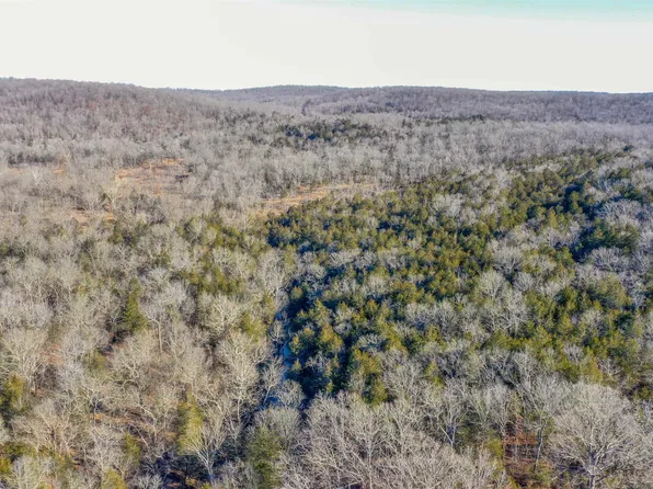 LOT 73 Big Buck Ln, Williford, AR 72482