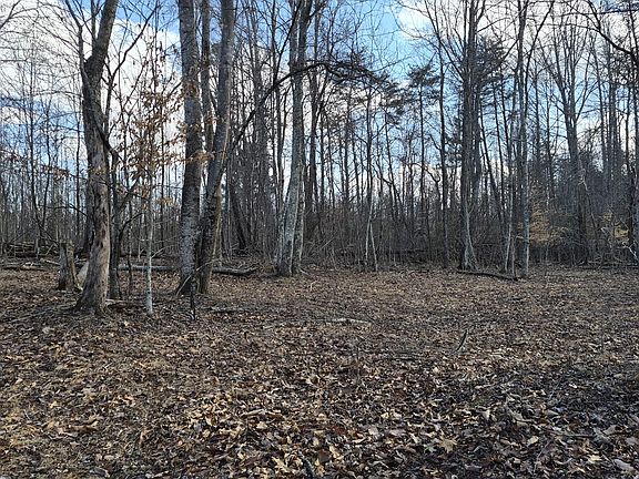 2nd image of Knob Rd